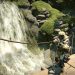 Трейнер (читы) для Monster Hunter: World Трейнер (читы) для Monster Hunter: World