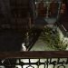 Dishonored 2: как получить достижение «Сувениры» / Souvenirs Dishonored 2: как получить достижение «Сувениры» / Souvenirs