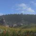 Kingdom Come: Deliverance 2 уже обсуждается разработчиками Kingdom Come: Deliverance 2 уже обсуждается разработчиками
