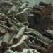 Konami анонсировала новую Metal Gear Solid. Но вряд ли это то, чего вы ждали Konami анонсировала новую Metal Gear Solid. Но вряд ли это то, чего вы ждали
