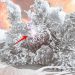 ArcheAge — где делать ивент «Сезон охоты» ArcheAge — где делать ивент «Сезон охоты»