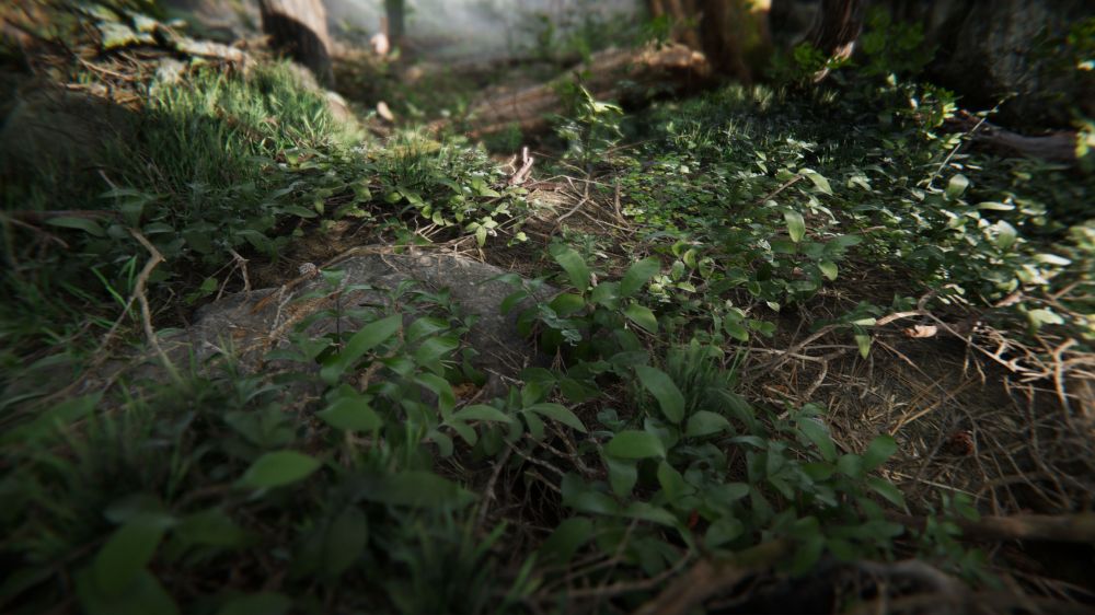 Создатели Unity анонсировали адвенчуру Book of the Dead с фотореалистичной графикой