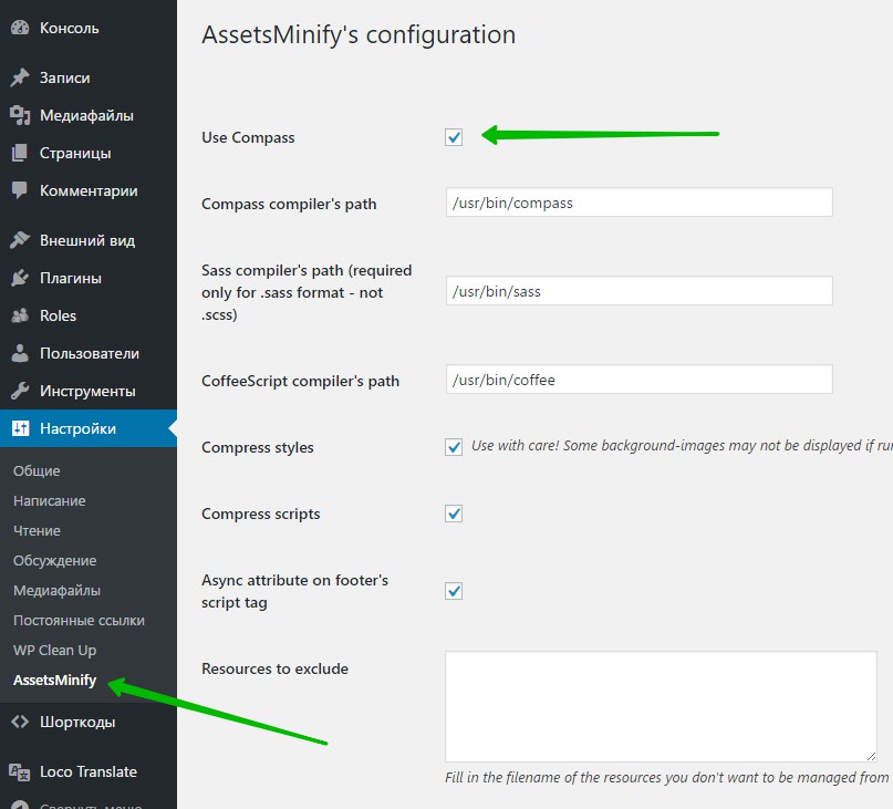 AssetsMinify's configuration