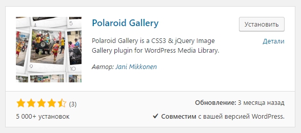 Polaroid Gallery