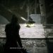 Билд Warden DPS (Stamina) для Elder Scrolls: Online Билд Warden DPS (Stamina) для Elder Scrolls: Online