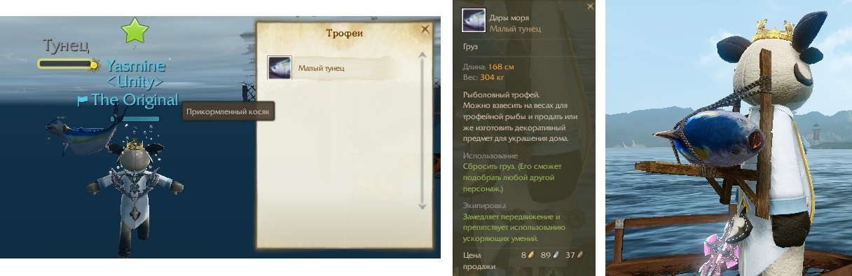 ArcheAge — как заработать золото на старте сервера