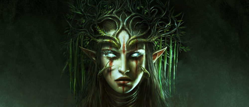 Спидраннер прошел Divinity: Original Sin 2 за полчаса и установил новый рекорд