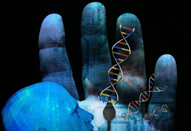 20 процентов человеческого генома оказались бесполезны. Как такое возможно?