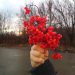 Для запуска своих первых научно-технологических спутников Казахстан выбрал SpaceX Для запуска своих первых научно-технологических спутников Казахстан выбрал SpaceX