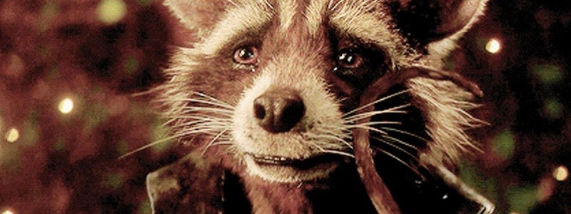 Появился тизер смерти енота Ракеты из Стражей галактики