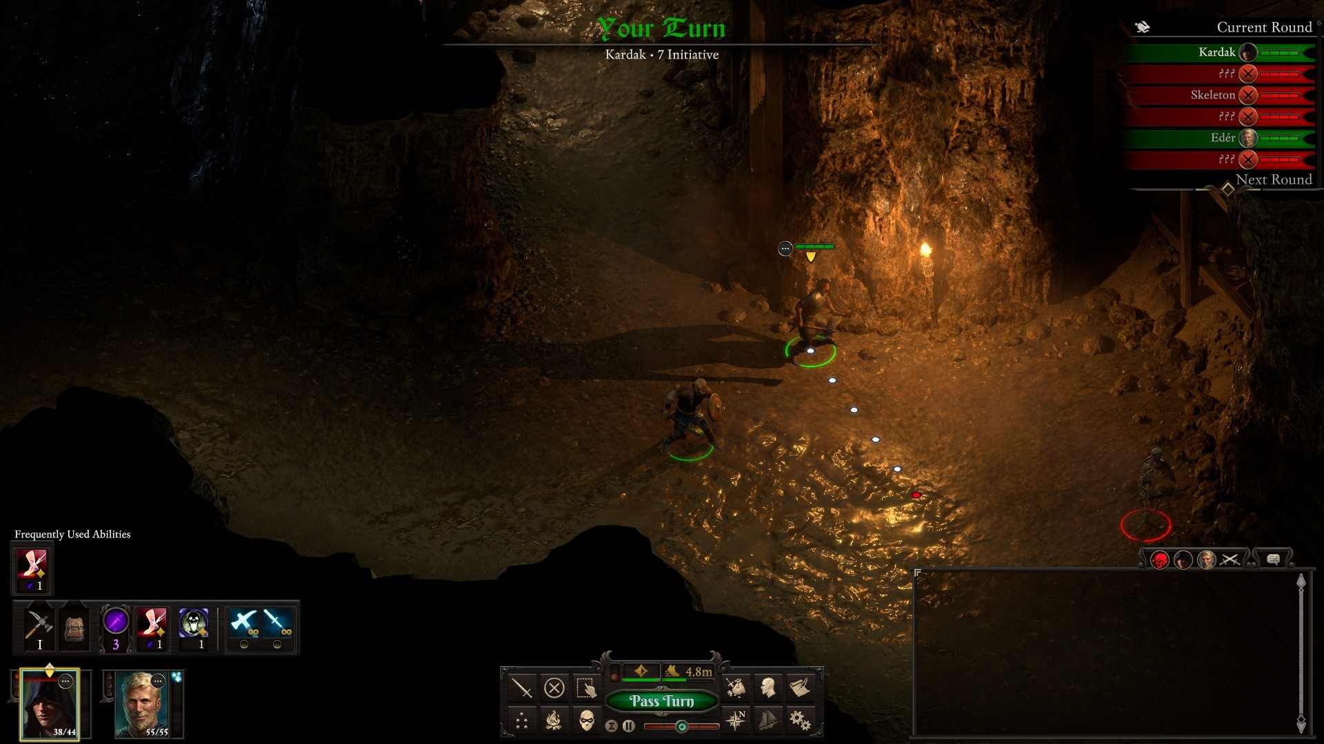 Pillars of Eternity 2: Deadfire - В игре на время появился пошаговый режим