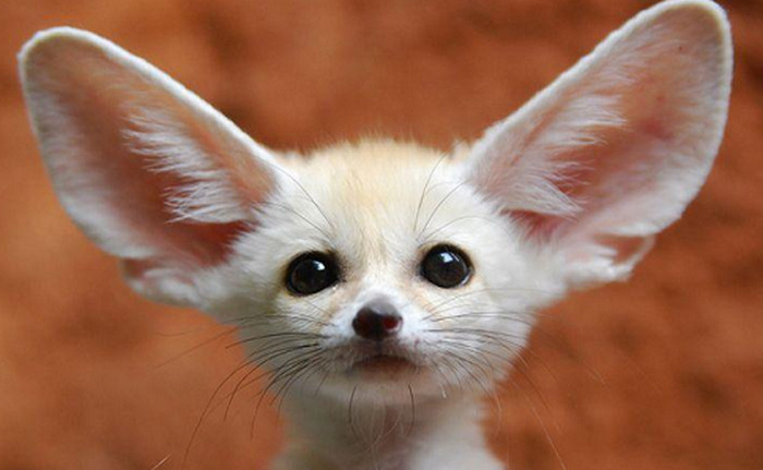 ТОП 10 лайфхаков, как найти общий язык с любым человеком: на одной волне