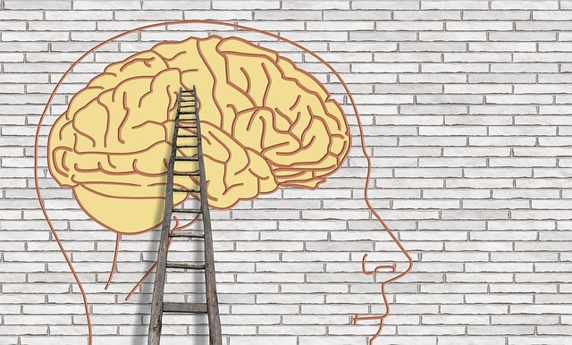 мозг лестница голова