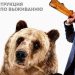 «Дэдпул 2» стал самым успешным фильмом «Люди Икс» «Дэдпул 2» стал самым успешным фильмом «Люди Икс»