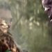 Детали первого сезона Apex Legends Детали первого сезона Apex Legends
