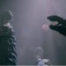 Обзор Sekiro: Shadows Die Twice. Soulsborne, но с хитростями Обзор Sekiro: Shadows Die Twice. Soulsborne, но с хитростями