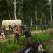 Военный шутер с элементами выживания Vigor выйдет из раннего доступа этим летом Военный шутер с элементами выживания Vigor выйдет из раннего доступа этим летом