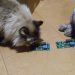 Зарядное устройство Baseus на три порта USB. Быть или не быть, брать или не брать? Не быть и не брать! Зарядное устройство Baseus на три порта USB. Быть или не быть, брать или не брать? Не быть и не брать!