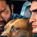 Первые мнения о фильме «Король Лев» (2019). Все хорошо? Первые мнения о фильме «Король Лев» (2019). Все хорошо?