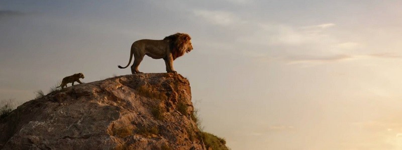 Первые мнения о фильме «Король Лев» (2019). Все хорошо?