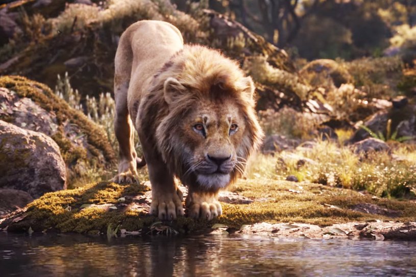 Акуна матата: в сети появилось два отрывка из киноадаптации «Короля Льва»