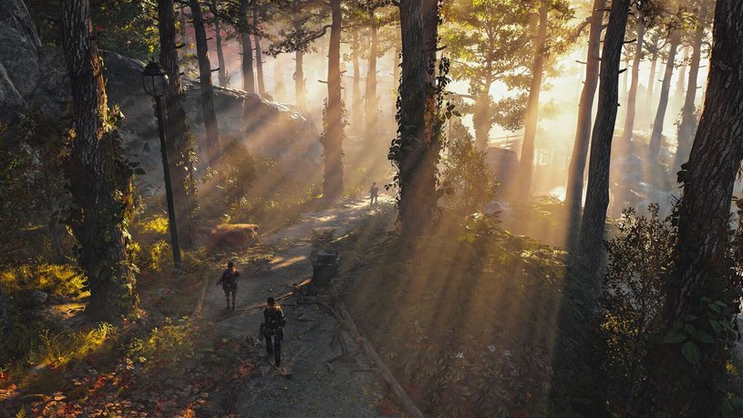 The Division 2 получила крупное обновление, позволяющее выбраться из Вашингтона