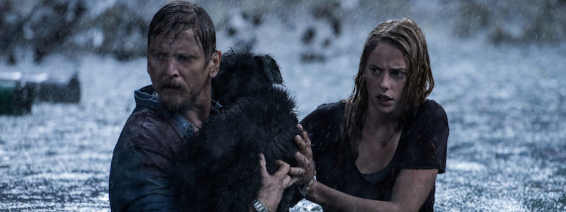 Отзывы критиков и оценки фильма «Капкан»