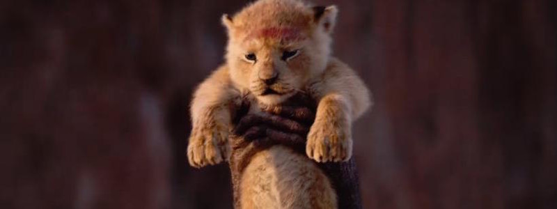 Есть ли сцена после титров фильма «Король Лев» (2019)?