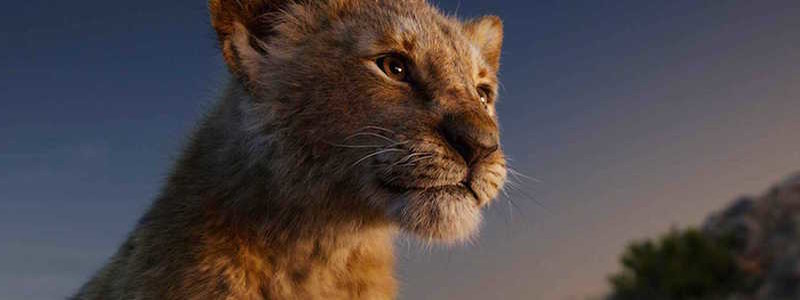 Честное мнение о ремейке «Король Лев». Как оно?