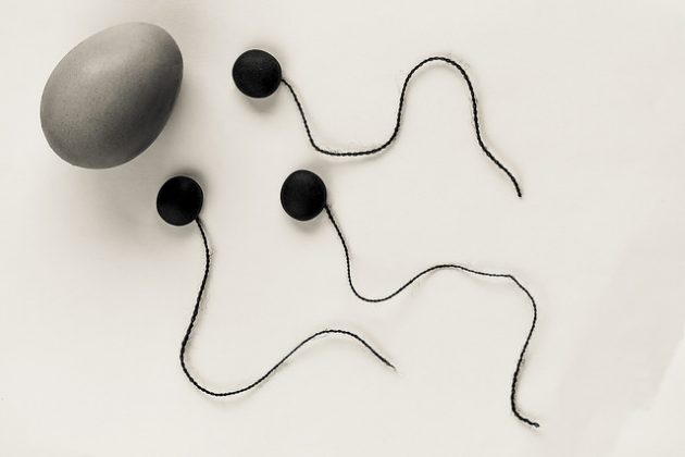 Признаки беременности на ранних сроках 1 неделя