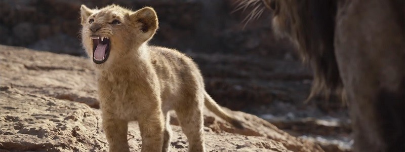 Сборы фильма «Король Лев» превысили в $1 млрд