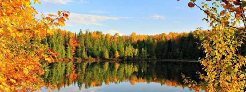 Москва театральная. Какой спектакль выбрать в сентябре?