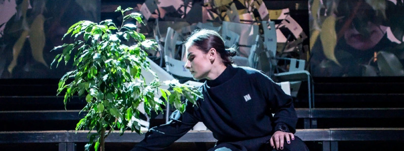 Рецензия на тотальный перформанс metadada, площадка «Скороход». Ловушка для интерпретатора