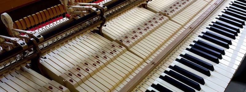 Сентябрь в Московской филармонии. Десять поводов возвращаться туда снова и снова