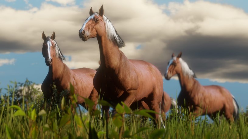 В ПК-версии Red Dead Redemption 2 можно сыграть за животных