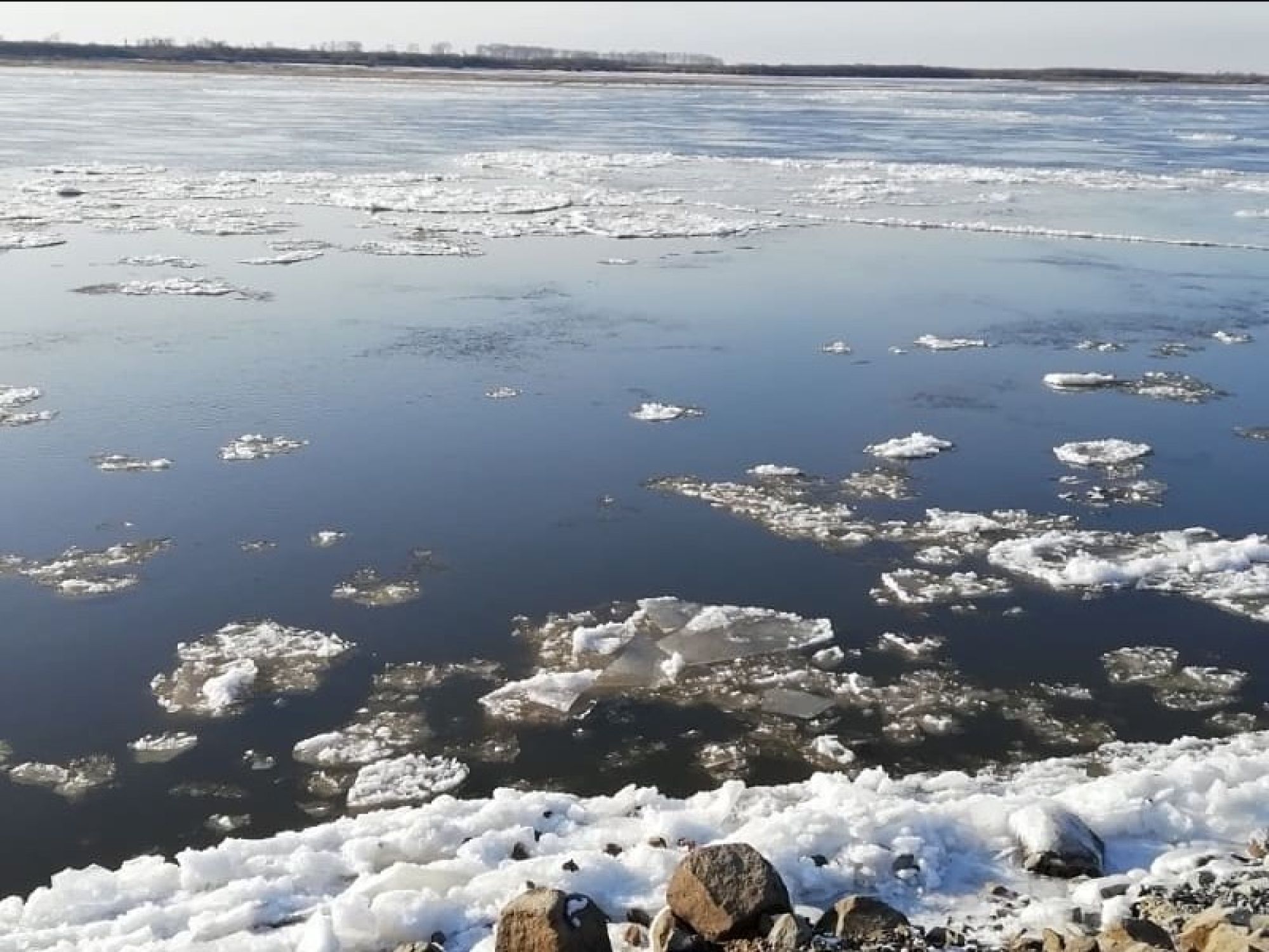 Строитель, спасший собаку из ледяной воды на Урале, подробно рассказал о случившемся