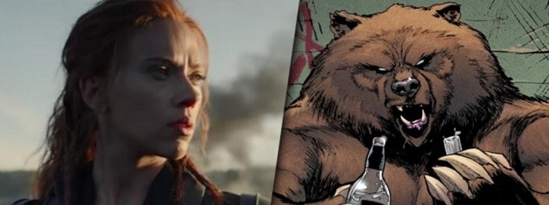 Медведь Урса замечен в фильме «Черная вдова»