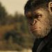 Дата выхода фильма «Джокер» на Blu-ray и в хорошем качестве Дата выхода фильма «Джокер» на Blu-ray и в хорошем качестве