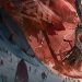 Создатель сериала «Ведьмак» ответила на критику Создатель сериала «Ведьмак» ответила на критику