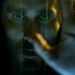 Как Marvel решили помочь Бри Ларсон в роли Капитана Марвел Как Marvel решили помочь Бри Ларсон в роли Капитана Марвел