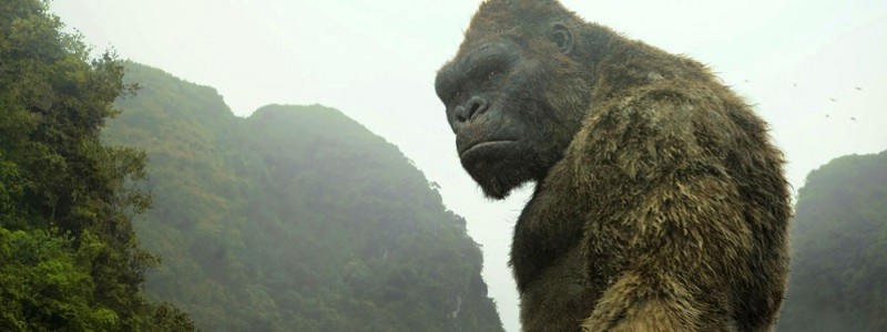 Актера «Конга: Остров Черепа» арестовали за наркотики