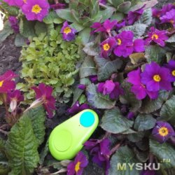 Беспроводной датчик контроля полива растений (влажности почвы) за $1 своими руками