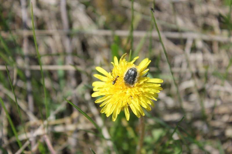 Макрокольца для Canon EOS EF-S  750D 80D 7D T6s 60D 7D 550D 5D Mark IV