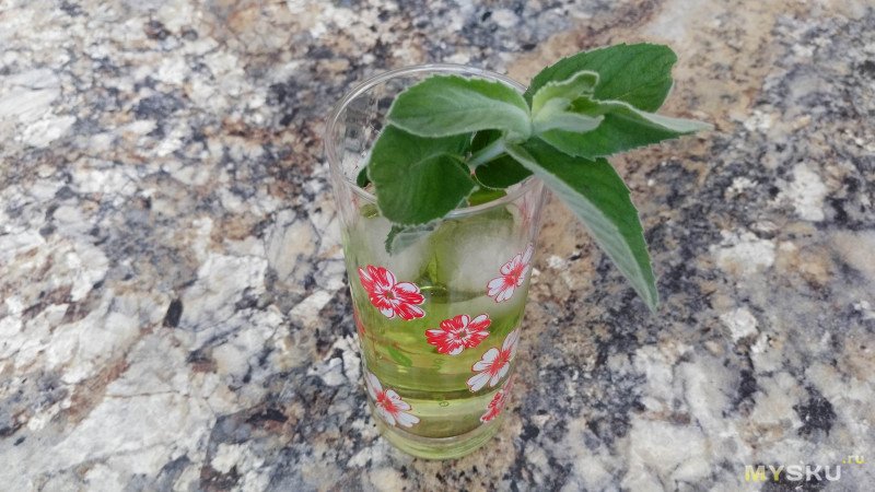 Экстрактор Сокслета. Мятная водка за 2 часа