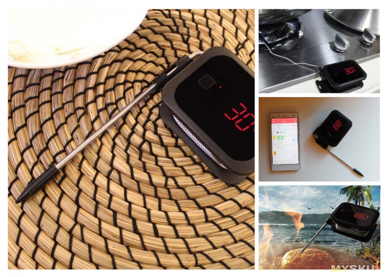 Термометр для барбекю с щупом InkBird IBT 2X за 21,38$