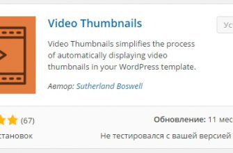 Видео миниатюры для записей wordpress плагин