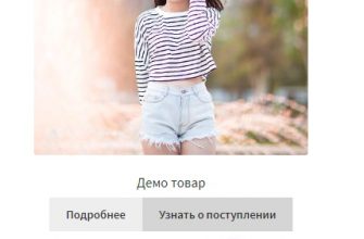 Узнать о поступлении товара плагин WooCommerce Waitlist