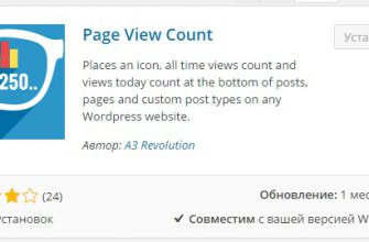 Счётчик просмотров страниц и записей на сайт wordpress !