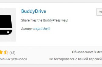 Плагин BuddyDrive для обмена файлами в соцсети BuddyPress